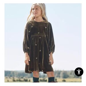 Zara LIMITED EDITION EMBROIDERED FLORAL VELVET DRESS